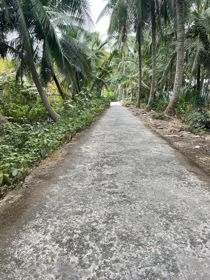 Đất nền 500m² Tân Thanh Tây, Bến Tre giá chỉ 400 triệu - Cần bán gấp!