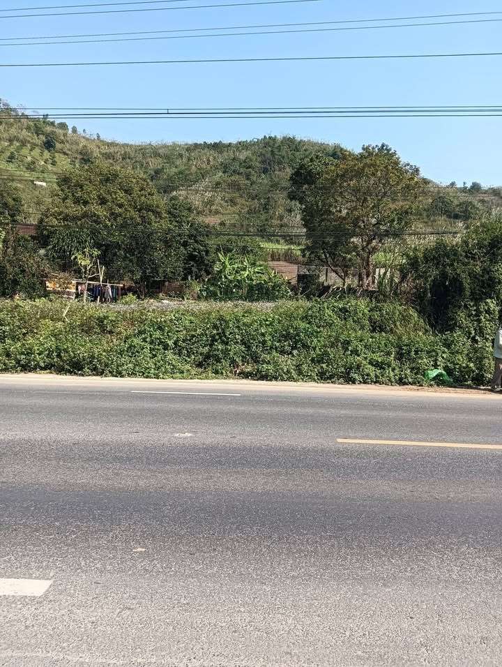 Đất ở Quốc lộ 6, Hà Đông 100m² giá chỉ 1.9 tỷ - Thế đất đẹp, đầu tư sinh lời!