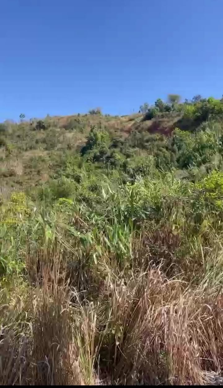 Đất nền Bờ Y, Ngọc Hồi, Kon Tum 16.000m² giá 600 triệu - Cơ hội đầu tư tuyệt vời!