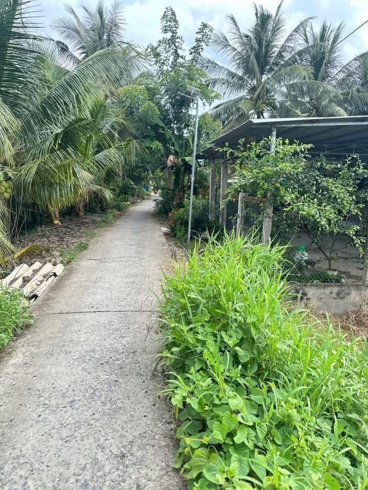 Đất nền xã Tân Lược, Huyện Bình Tân 700m² giá 299 triệu - Sổ hồng chính chủ sẵn sàng!