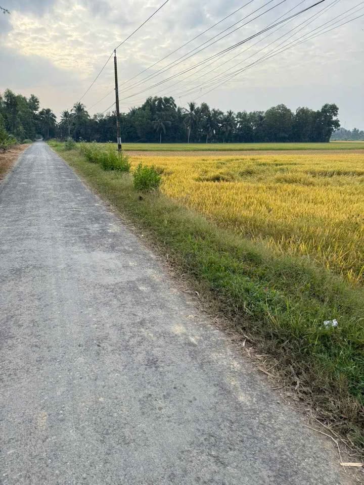 Đất nền mặt tiền 5m tại Hòa Lợi, Châu Thành, 3.361m² chỉ 1.34 tỷ - Cơ hội đầu tư hấp dẫn!