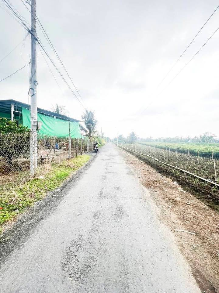 Đất nền mặt tiền nhựa Tân Đông, 100m² giá 1.3 tỷ - Cơ hội đầu tư hấp dẫn!