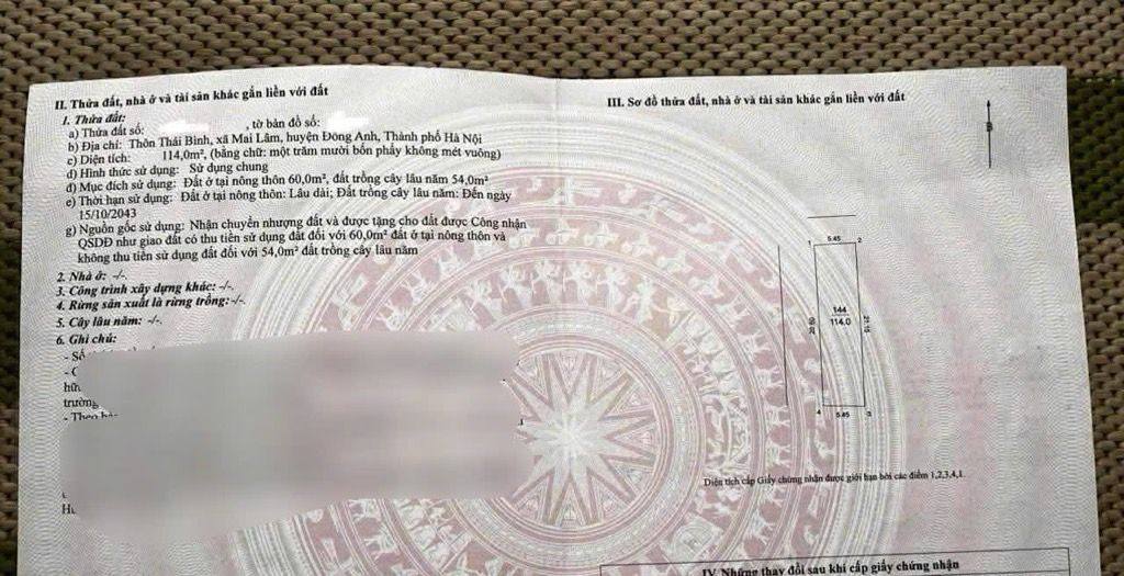 Đất nền lô góc 115m² tại xã Mai Lâm, Đông Anh - Giá chỉ 10 tỷ, ô tô vào tận nơi!