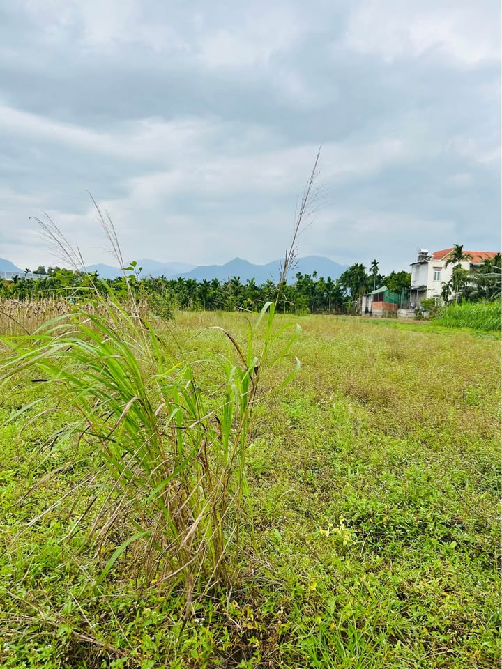 Đất nền 279m² tại Huyện Nghĩa Hành - Giá chỉ 8.091 tỷ - Pháp lý đầy đủ!