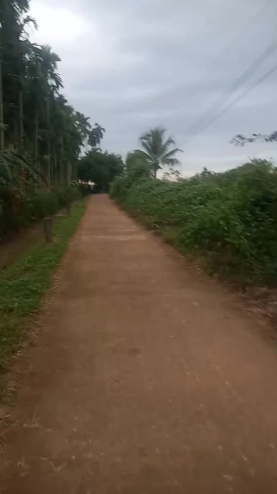 Bán đất nông nghiệp 7200m² tại xã Cuôrknia, Buôn Đôn - Giá chỉ 700 triệu!