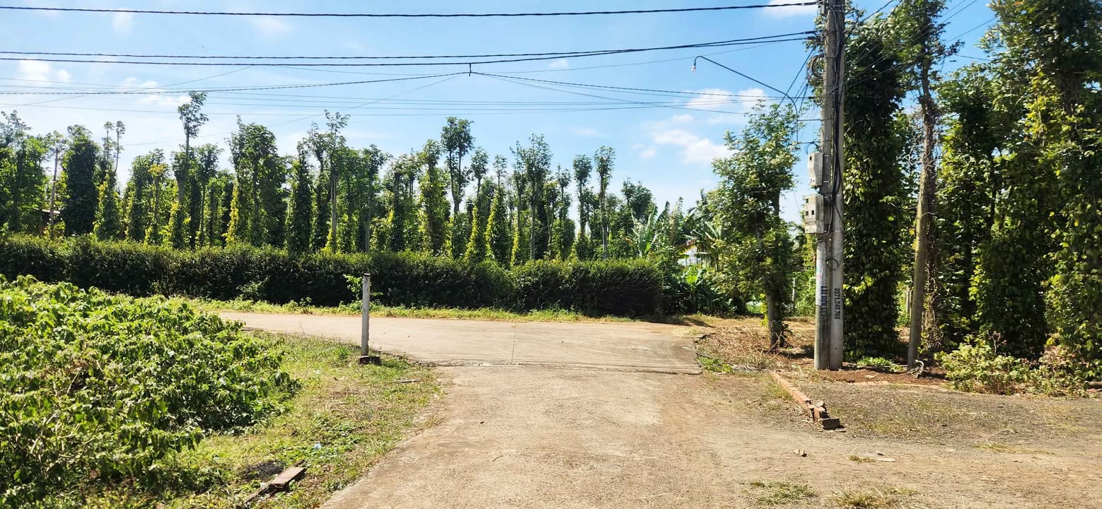 Đất nền liền kề Xã Ea Kao 180m² giá 990 triệu - Cơ hội đầu tư tuyệt vời!