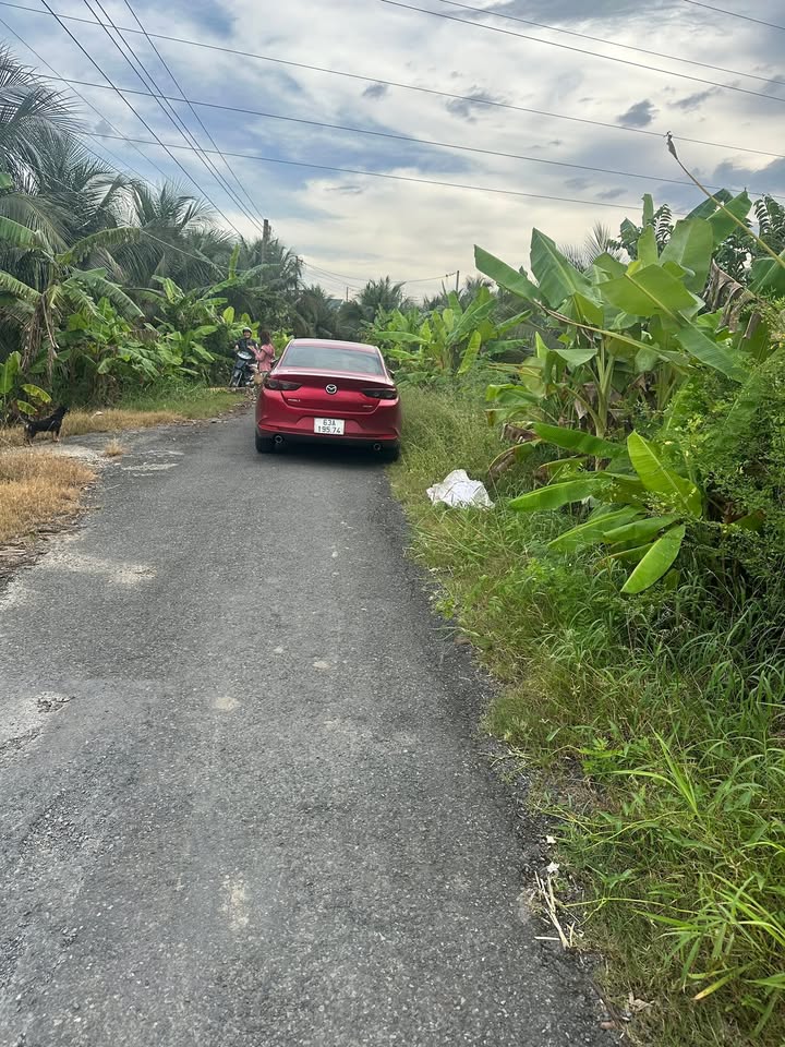 Đất mặt tiền nhựa 12x40m, 1.25 tỷ - Vị trí đắc địa tại Chợ Gạo, Tiền Giang!