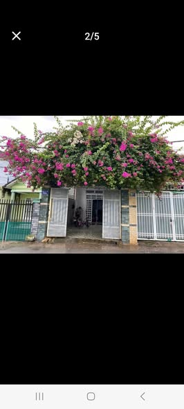 Nhà 1 Trệt Lửng KDC Phúc Đạt, Phú Lợi 125m² giá 3 tỷ - Nhà đầy đủ tiện nghi!