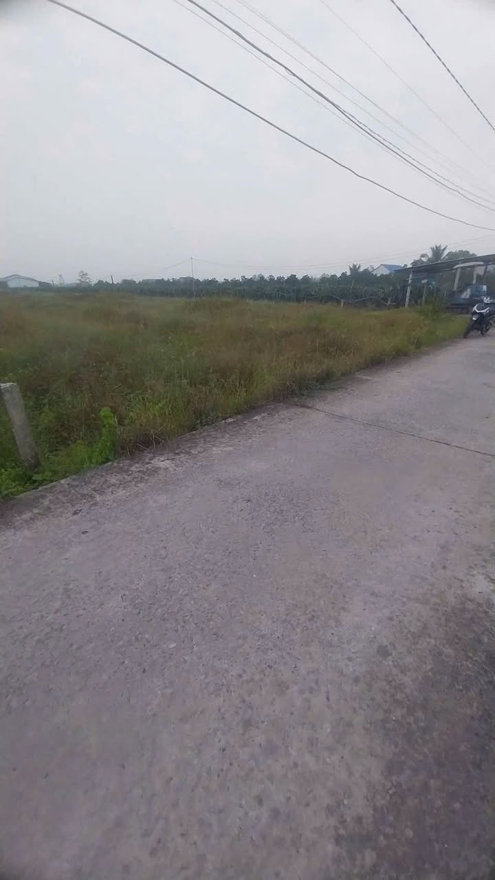 Đất 3000m² xã Thanh Phú Long Châu Thành - Sổ đỏ chính chủ chỉ 1.5 tỷ!