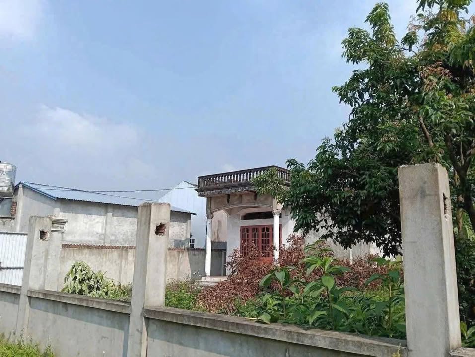 Đất xây nhà vườn 1000m² tại Phường Phố Cò - Giá chỉ 1.x tỷ