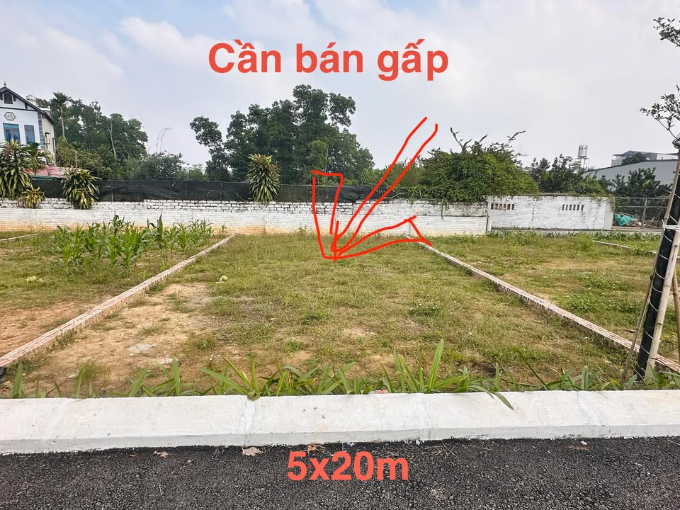 Đất Phúc Tiến, Bình Yên 100m² giá chỉ 2 tỷ - Cơ hội đầu tư hấp dẫn!