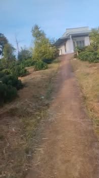 Đất nền 2.600m² tại Tân Hà - Giá chỉ 2,2 tỷ - Pháp lý đầy đủ