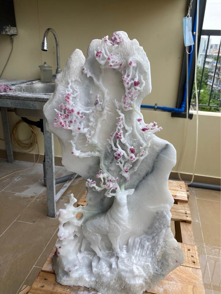 Nhà nguyên căn cho thuê mặt tiền Nguyễn Chích, 10m, chỉ 3.5 triệu/tháng - Địa điểm lý tưởng!