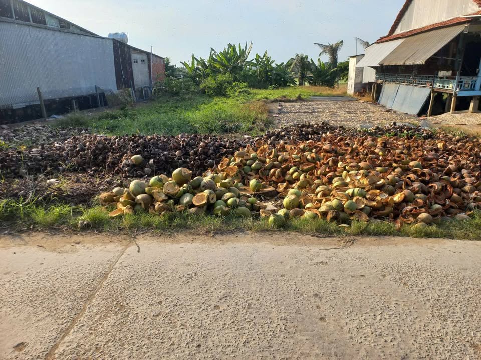 Đất nền xã Nhơn Mỹ, Huyện Chợ Mới 155m² giá 550 triệu - Cơ hội đầu tư tuyệt vời!