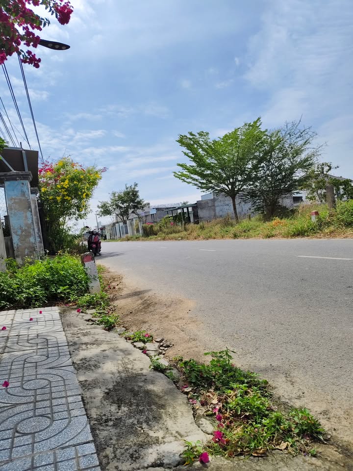 Đất thổ cư mặt tiền Nhự Xoài Quỳ, 150m² giá 1.1 tỷ - Cơ hội đầu tư tuyệt vời!