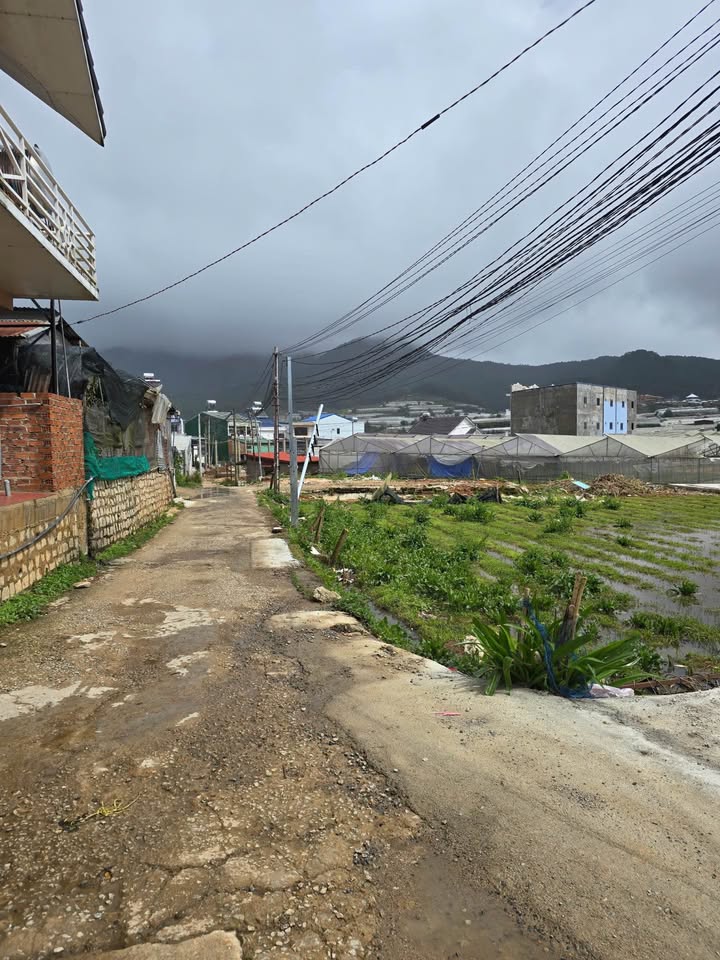 Đất 2 mặt tiền hẻm ô tô Thống Nhất Lạc Dương 100m² giá 2.45 tỷ - Sổ riêng, xây dựng tự do!