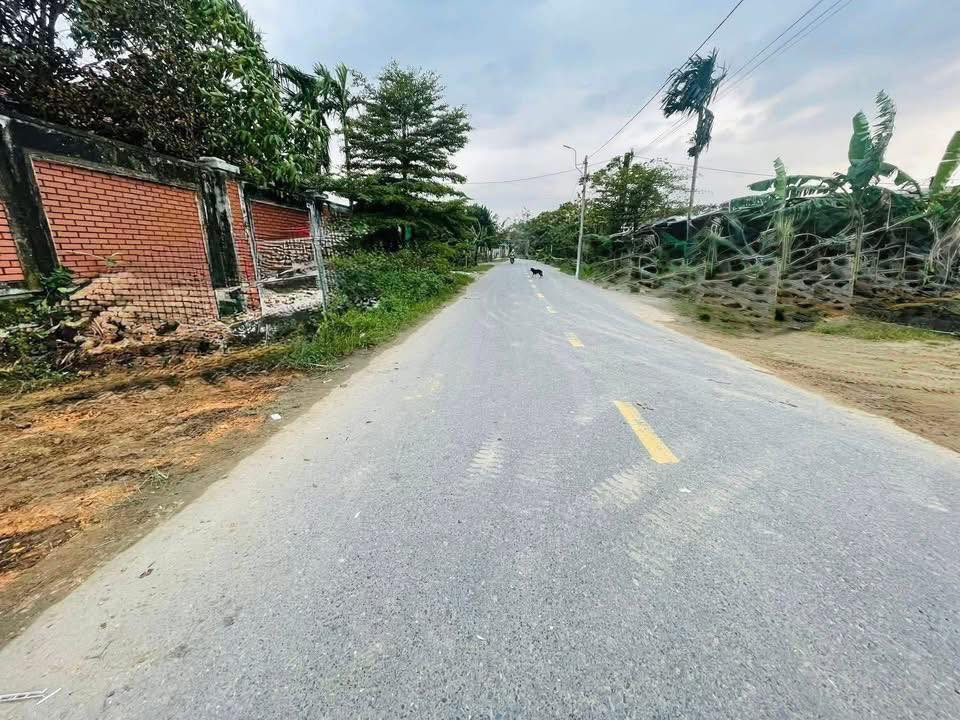 Lô đất mặt tiền Triệu Long 238m² giá 7xx triệu - Đầu tư sinh lời ngay!