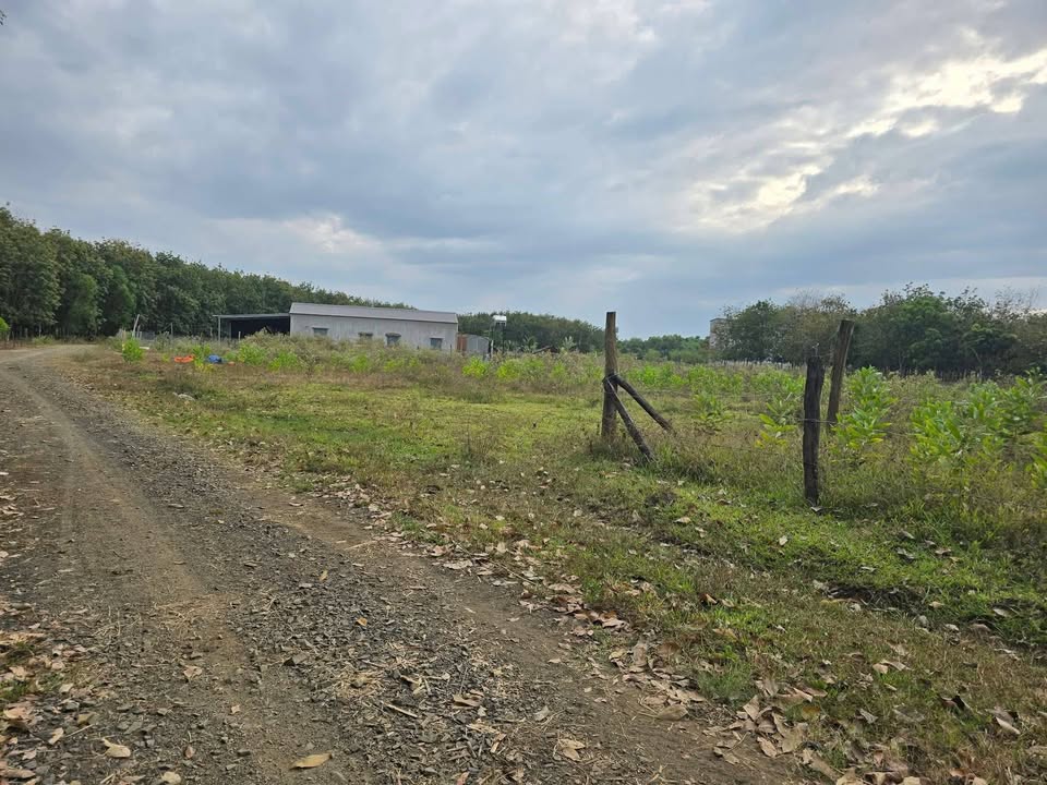 Đất nền Hưng Phước Bù Đốp 1090m² giá chỉ 220 triệu - Cơ hội vàng đầu tư!