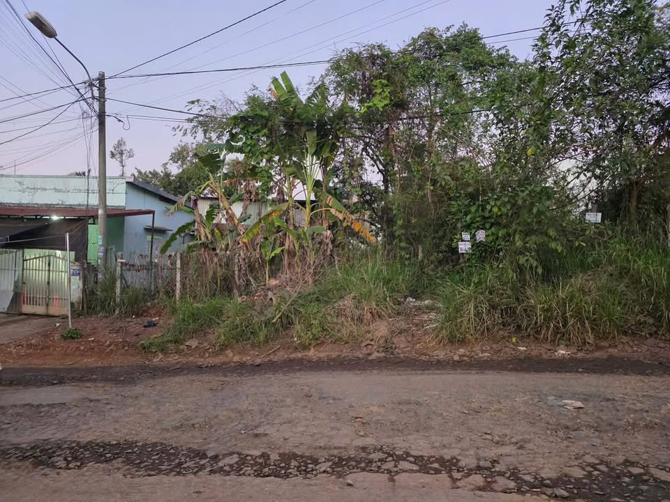 Đất mặt tiền Hùng Vương, Buôn Ma Thuột 114m² giá 4.3 tỷ - Đầu tư sinh lợi ngay!