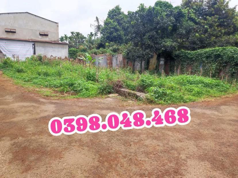 Đất nền Tân Lập, Buôn Ma Thuột 230m² giá 2.55 tỷ - Đầu tư sinh lời ngay!