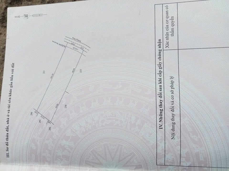 Đất nền Tân Hội, Bình Phước 58m² giá 500 triệu - Đất cao, mặt tiền đường nhựa!