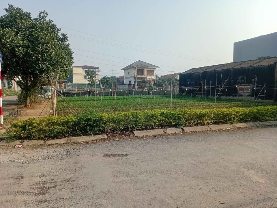 Đất nền Vĩnh Tiến, Hoa Lư 100m² giá 2 tỷ - Cơ hội đầu tư tuyệt vời!