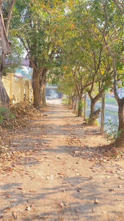 Đất nền Nam Hồng 1500m² giá 6 tỷ - Sổ hồng chính chủ