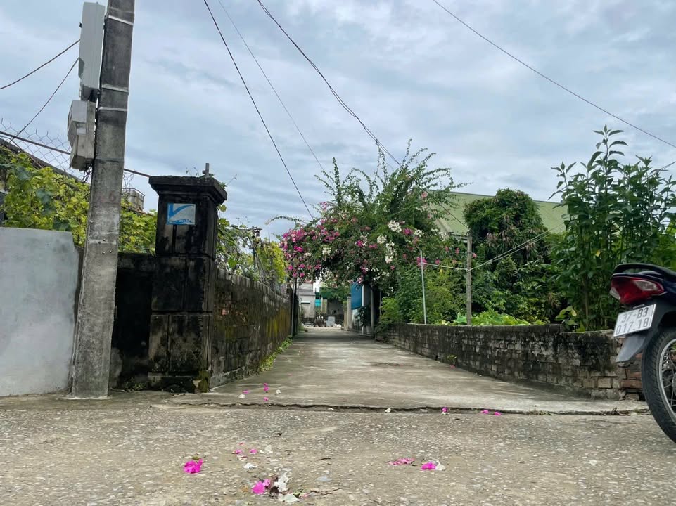 Đất nền xóm 6 Nghi Kim 53m² giá 1.2 tỷ - Tiềm năng đầu tư lớn!