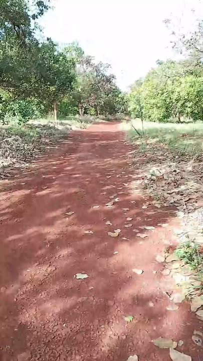 Đất nền 5 hecta tại xã Bom Bo, huyện Bù Đăng - Giá 3.8 tỷ, đầu tư sinh lời ngay!