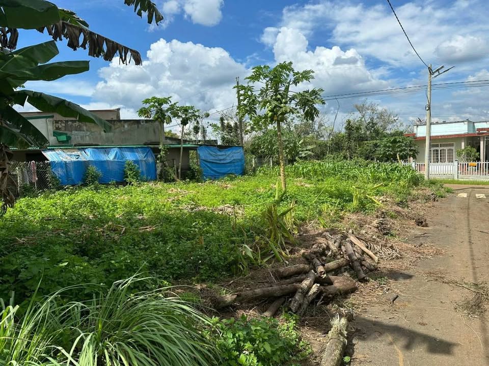 Lô đất 2 mặt tiền Lộc An 175m² giá 1.2 tỷ - Vị trí đẹp, tiện ích đầy đủ!