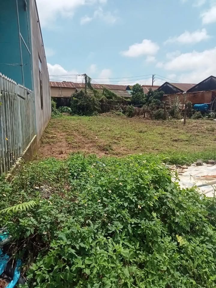 Đất nền hẻm Trần Phú, Lộc Châu 170m² giá 1.2 tỷ - Thương lượng ngay!