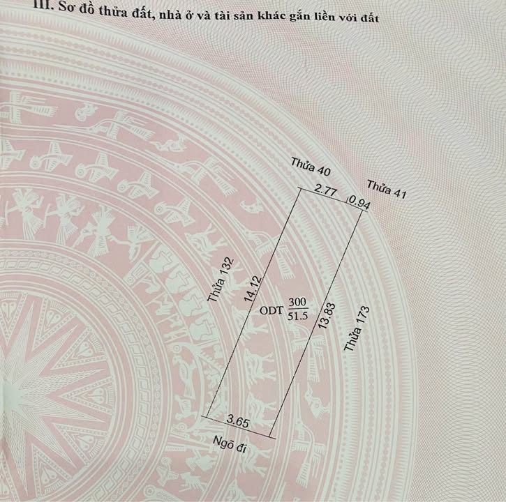 Đất nền phố Triệu Quang Phục, Hải Dương 51.5m² giá 1.1 tỷ - Bớt lộc cho người thiện chí!
