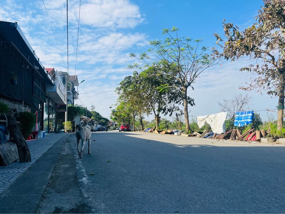 Lô đất Nguyễn Tất Thành 98m² giá 1,9 tỷ - Kiệt ô tô thông thoáng!