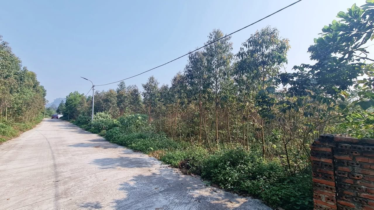 Đất nền 10.000m² tại Hy Cương - Việt Trì chỉ 3 tỷ - Đầu tư sinh lời ngay!