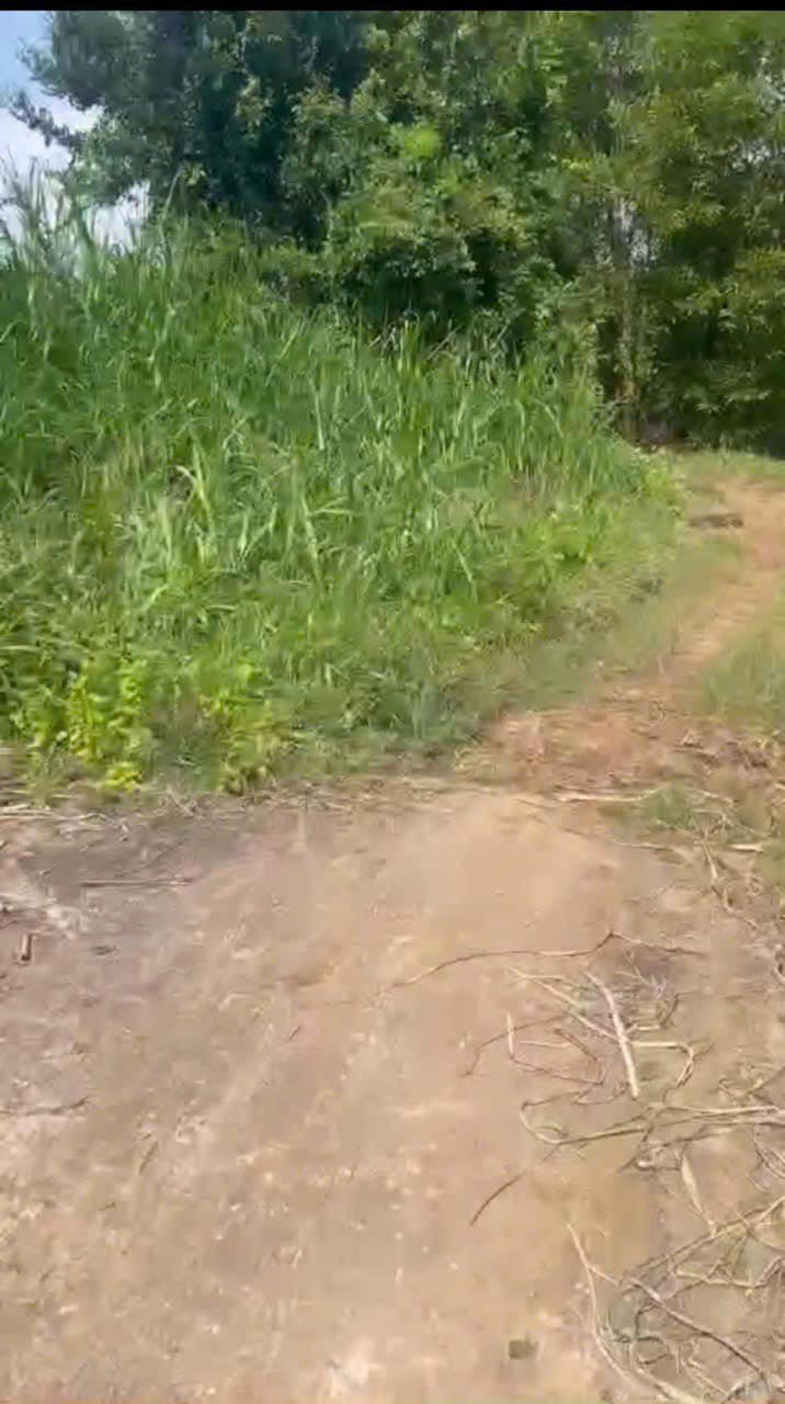 Đất nền 202m² tại BHK Bình Phú, Quận 6 - Giá chỉ 9.9 tỷ!