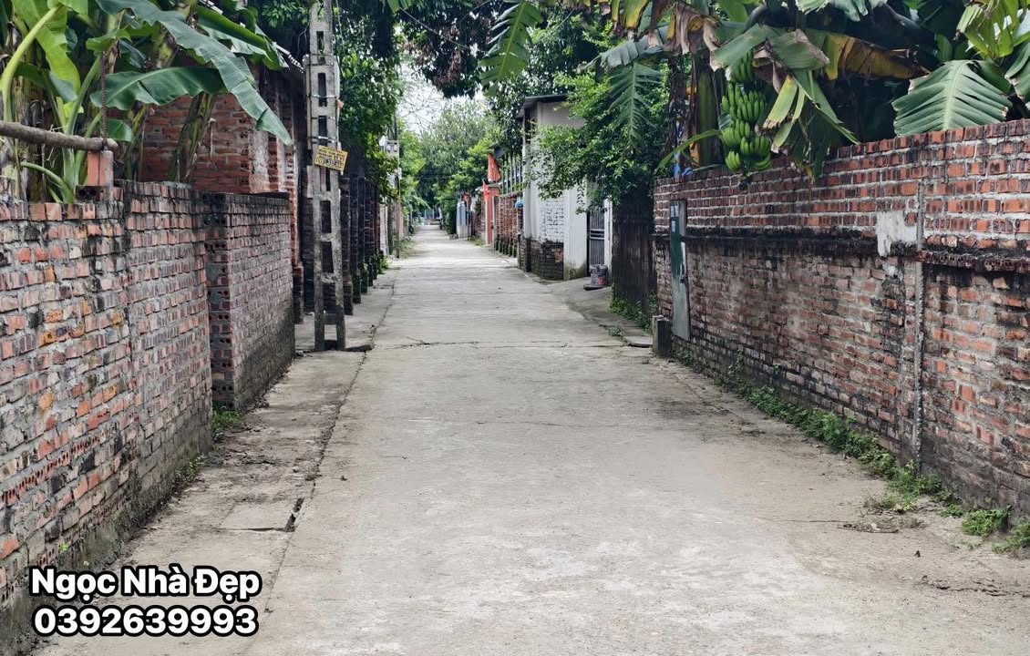 Đất nền KĐT Hạ Bạn, Phường Minh Nông, 300m² giá 3.9 tỷ - Cơ hội đầu tư hiếm có!