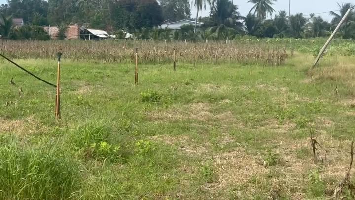 Đất nền 1500m² Cát Hiệp - Phù Cát chỉ từ 100 triệu - Cơ hội đầu tư tuyệt vời!