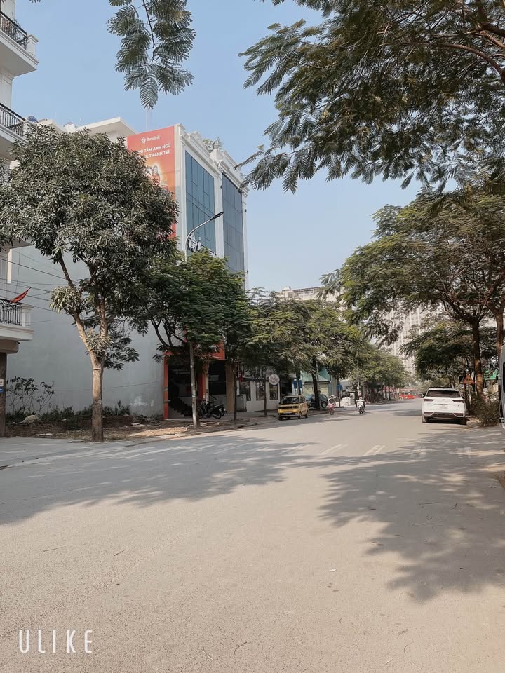 Đất đấu giá Tứ Hiệp 84m² giá 24.x tỷ - Sổ phân lô chính chủ, vị trí đắc địa!