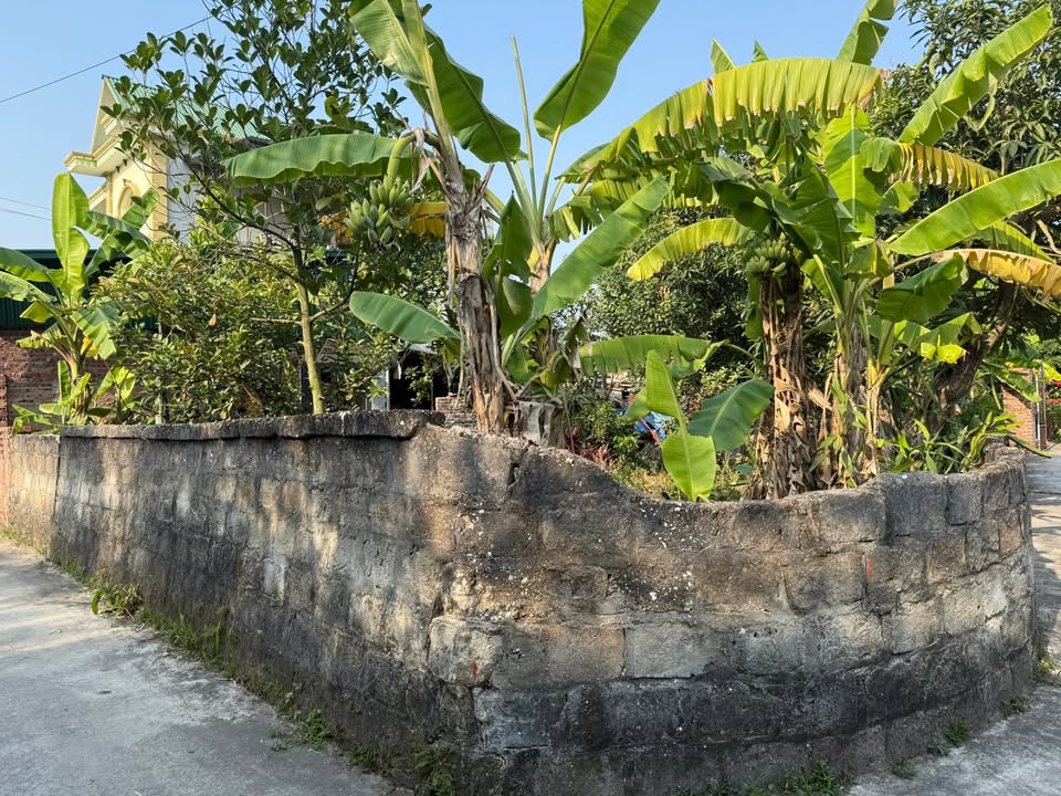 Đất nền Phường Hoàng Tân, TP Chí Linh 142m² giá chỉ 900 triệu - Lô góc mặt tiền rộng rãi!