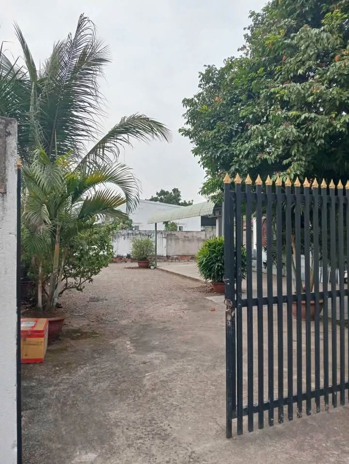 Nhà nguyên căn cho thuê tại Hòa Long, Bà Rịa - 2.8 triệu/tháng - Không gian thoáng đãng và tiện nghi