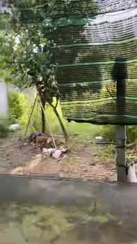 Đất nền Khu Phố Suối Sâu, Phường An Tịnh, 3693m² - Giá tốt, pháp lý rõ ràng!