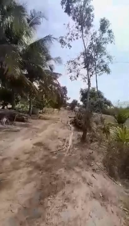 Đất thổ cư 80.000m² tại Tân Phong, Tây Ninh - Giá chỉ 1.1 tỷ, thương lượng!