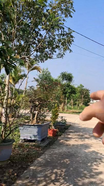 Đất nền lô góc 2 mặt tiền tại khối Tân Hồng, Nghĩa Đàn 131m² - Cơ hội đầu tư sinh lời!