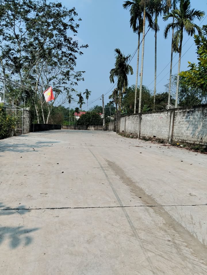 Đất nền chính chủ tại xóm Trung Yên, xã Nghĩa Kỳ, 200m² chỉ 600 triệu - Cơ hội đầu tư hấp dẫn!