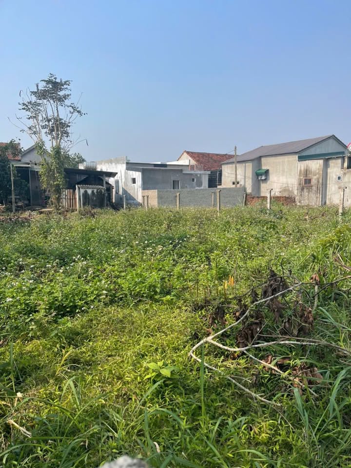 Bán lô đất thổ cư 160m² tại Du Thịnh, Đông Hiếu, Thái Hòa - Giá chỉ 800 triệu!