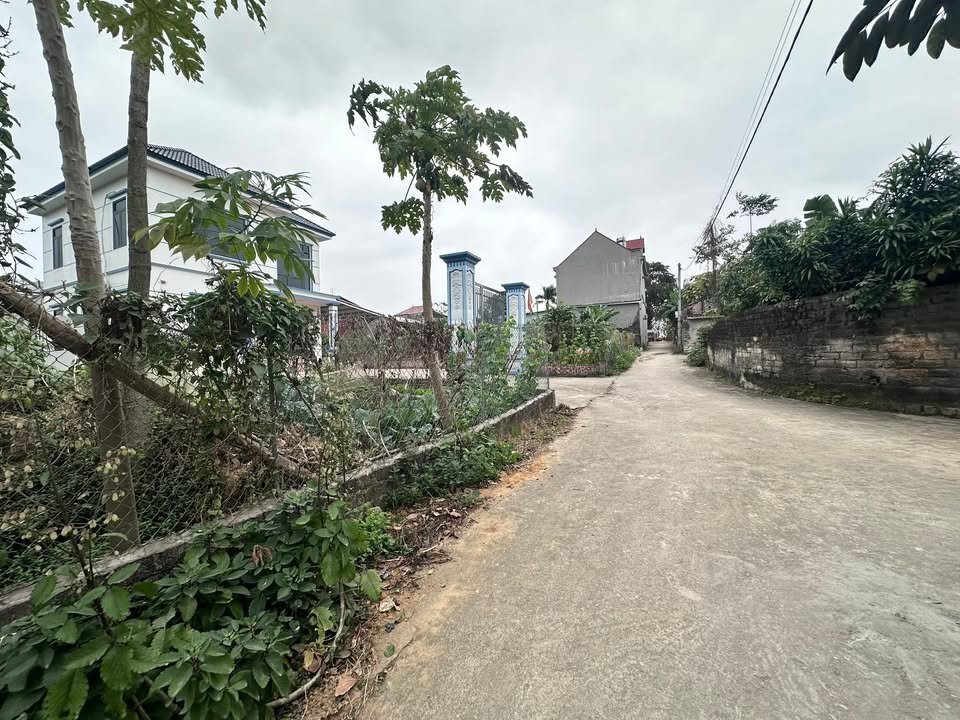 Đất nền Lương Phong Hiệp Hòa 213m² giá chỉ 1 tỷ - Tiềm năng đầu tư cao!