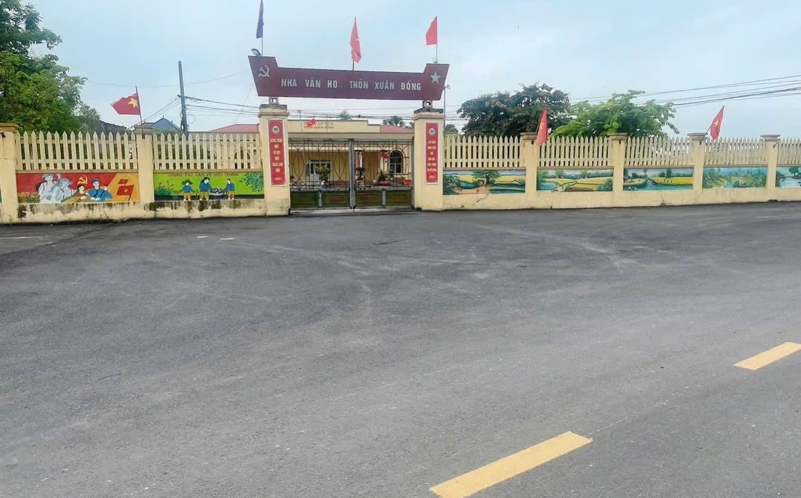 Đất nền Xuân Đồng, Tân Minh 80m² giá 800 triệu - Ô tô vào tận đất!