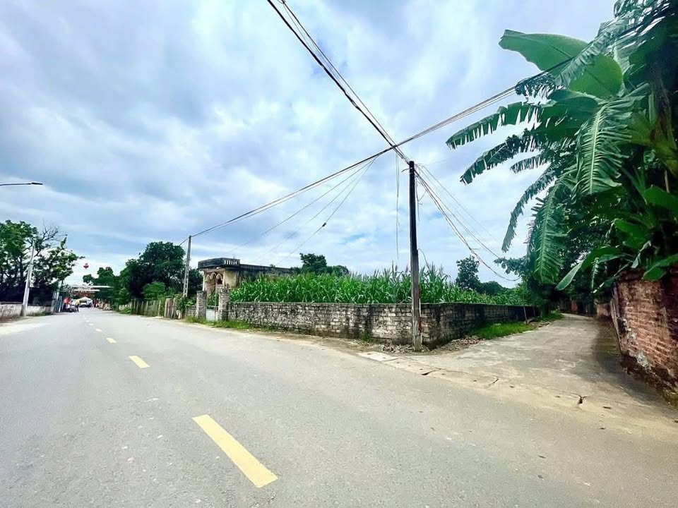 Đất nền 800m² tại Tản Lĩnh, Ba Vì - Lô góc cực đẹp, giá thỏa thuận!