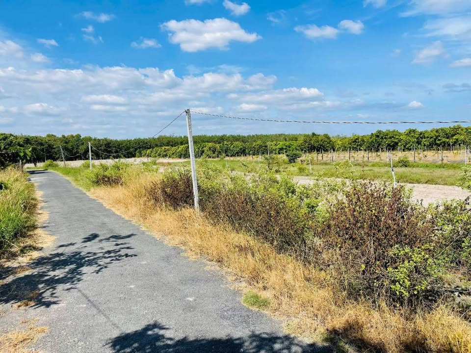 Đất nền Thạnh Trung, Tây Ninh 1728m² chỉ 4.5 tỷ - Cơ hội đầu tư tốt!