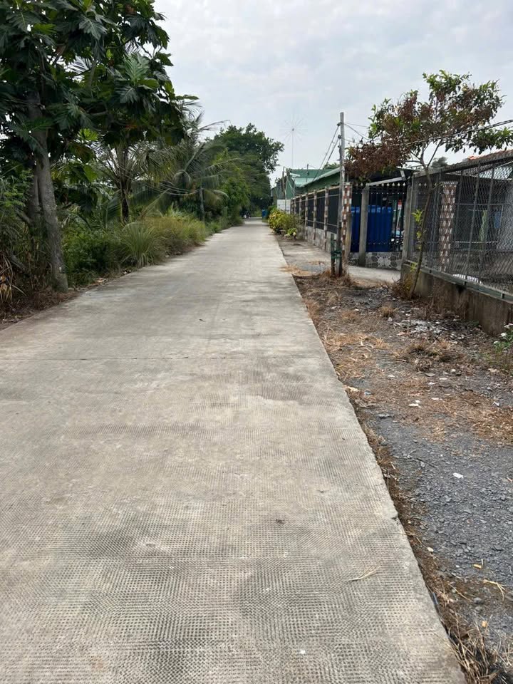 Đất thổ cư và đất lúa 10 công tại Thủ Thừa, Long An - Giá tốt, thương lượng ngay!